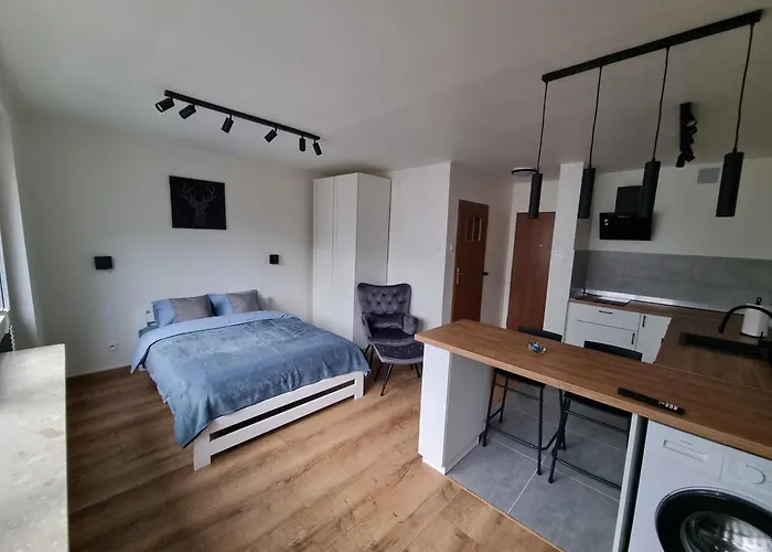 Kawalerka W Centrum Warszawy - 300 Metrow Od Pkin Self Check-in